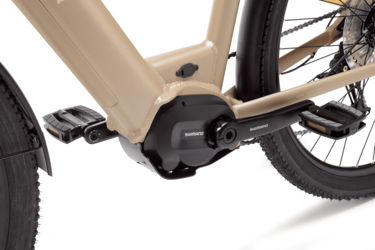 Thumbnail - E850 Trekking Low Step