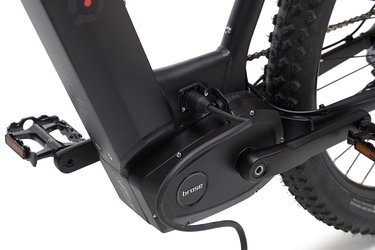 Thumbnail - M500 Wild